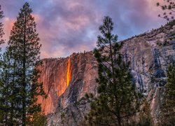 Pomarańczowa, Poświata, Wodospad, Horsetail Fall, Yosemite Firefall, Skalista, Góra, Drzewa, Park Narodowy Yosemite, Kalifornia, Stany Zjednoczone