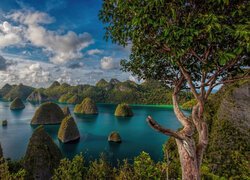 Indonezja, Wyspy, Raja Ampat, Drzewa, Morze, Chmury