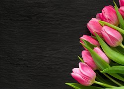 Jasnoróżowe tulipany na czarnym tle