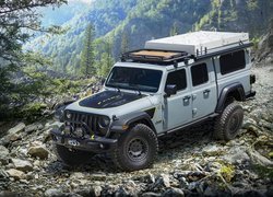 Jeep Gladiator Farout, 2020, Prototyp