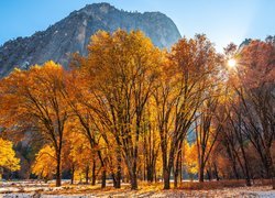 Jesień, Park Narodowy Yosemite, Góry, Drzewa, Promienie słońca, Stan Kalifornia, Stany Zjednoczone