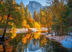 Jesienna roślinność i szczyt Half Dome w Parku Narodowym Yosemite