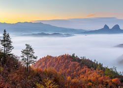Góry, Jesień, Mgła, Lasy, Drzewa, Roślinność