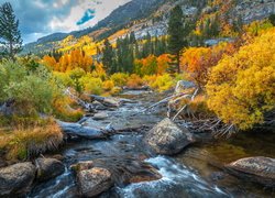Rzeka, Bishop Creek, Jesień, Drzewa, Krzewy, Góry, Kalifornia, Stany Zjednoczone