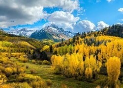 Jesienne drzewa i szczyt Mount Sneffels w Górach Skalistych w Kolorado