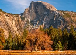 Jesienne drzewa na tle gór w Parku Narodowym Yosemite