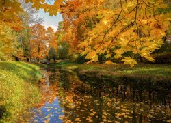 Jesień, Park, Rzeka, Drzewa, Żółte, Liście