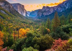 Jesienne drzewa w dolinie Parku Narodowego Yosemite