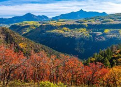 Jesienne drzewa w słońcu i góry San Juan Mountains w Kolorado