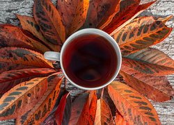 Jesienne liście dookoła kubka z herbatą
