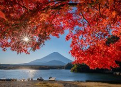 Jesienne liście w promieniach słońca na tle góry Fudżi w Japonii