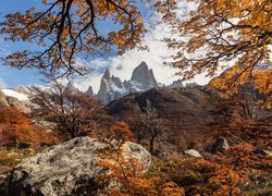 Jesienny krajobraz w Patagonii i szczyt Fitz Roy w tle
