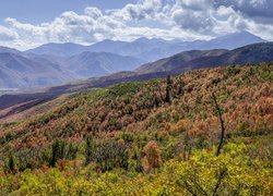 Jesienny krajobraz z widokiem na góry Wasatch