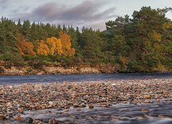 Drzewa, Kamienie, Rzeka, River Dee, Park Narodowy Cairngorms, Ballater, Szkocja