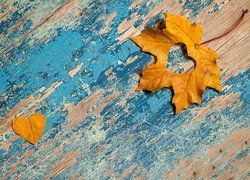Jesienny liść klonu z wyciętym serduszkiem
