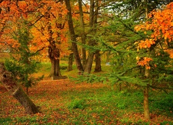 Jesień, Park, Ławka, Drzewa