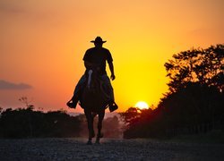 Jeździec na koniu na tle zachodzącego słońca