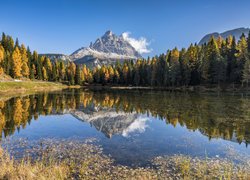 Masyw Tre Cime di Lavaredo, Góry, Dolomity, Jezioro Antorno Lake, Lasy, Drzewa, Prowincja Belluno, Włochy