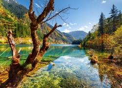 Chiny, Park Narodowy Jiuzhaigou, Jezioro Arrow Bamboo Lake, Góry, Las Drzewa