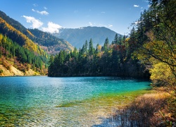 Chiny, Park Narodowy Jiuzhaigou, Jezioro Arrow Bamboo, Góry, Lasy,  Drzewa