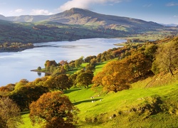 Wielka Brytania, Walia, Park Narodowy Snowdonia, Jezioro Bala Lake, Góry, Szczyt Aran Benllyn, Drzewa