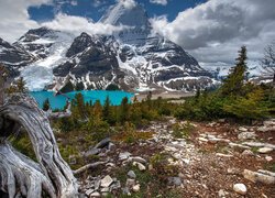 Park Prowincjonalny Mount Robson, Jezioro, Berg Lake, Drzewa, Kamienie, Kanadyjskie Góry Skaliste, Góra, Mount Robson, Chmury, Kanada