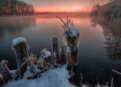 Jezioro Białe w rosyjskiej miejscowości Szatura spowite mgłą