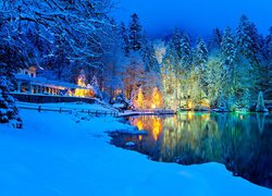 Zima, Las, Drzewa, Śnieg, Jezioro Blausee, Szwajcaria