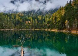 Jezioro Blindsee, Drzewa, Mgła, Las, Austria