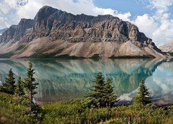 Kanada, Prowincja Alberta, Park Narodowy Banff, Jezioro Bow Lake, Góra Crowfoot Mountain, Roślinność