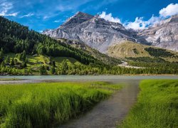 Góry, Alpy, Las, Trawa, Jezioro Lac de Derborence, Kanton Valais, Szwajcaria