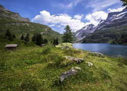 Szwajcaria, Kanton Berno, Góry, Jezioro Engstlensee, Kamienie, Trawa, Drzewa