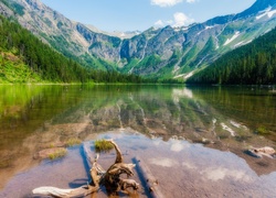 Stany Zjednoczone, Stan Montana, Park Narodowy Glacier, Jezioro Hidden Lake, Góry, Drzewa