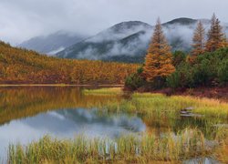 Jesień, Jezioro, Góry, Mgła, Drzewa, Kołyma, Magadan, Rosja