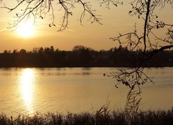 Jezioro Kórnickie, Kórnik, Polska, Zachód słońca, Gałęzie