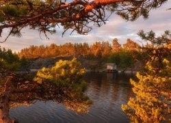 Jezioro Ładoga, Drzewa, Jesień, Chmury, Rosja