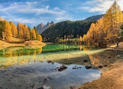 Jezioro Lake Palpuogna w Szwajcarii jesienią