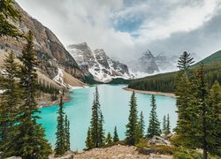 Jezioro, Moraine Lake, Góry, Lasy, Drzewa, Park Narodowy Banff, Alberta, Kanada
