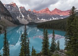 Park Narodowy Banff, Kanada, Prowincja Alberta, Jezioro Moraine, Drzewa, Świerki, Góry