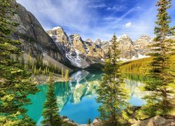 Kanada, Alberta, Park Narodowy Banff, Jezioro Moraine, Drzewa, Odbicie