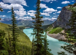 Kanada, Park Narodowy Banff, Jezioro Moraine, Góry, Drzewa, Lasy,  Drzewa