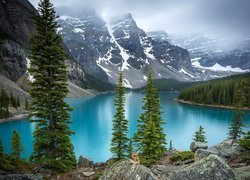 Kanada, Prowincja Alberta, Park Narodowy Banff, Jezioro Moraine, Drzewa, Chmury, Świerki
