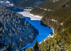 Góry, Las Turyński, Jezioro Ohratalsperre, Drzewa, Zima, Turyngia, Niemcy