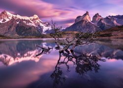 Park Narodowy Torres del Paine, Jezioro Pehoe, Góry Cordillera del Paine, Masyw Torres del Paine, Zanurzone, Konary, Drzewa, Wschód słońca, Patagonia, Chile