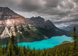 Jezioro Peyto Lake w górach Canadian Rockies