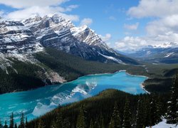 Jezioro Peyto Lake w Parku Narodowym Banff w Kanadzie