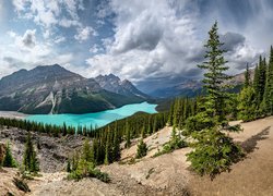 Jezioro Peyto w Parku Narodowym Banff