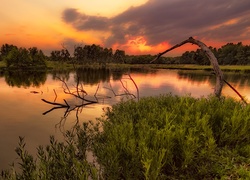 Stany Zjednoczone, Stan Missouri, Rezerwat James A. Reed Memorial Wildlife Area, Jezioro, Zachód słońca, Drzewa