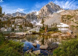 Stany Zjednoczone, Kalifornia, Rezerwat przyrody Wilderness John Muir, Góry Sierra Nevada, Jezioro, Kamienie, Drzewa