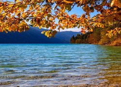 Jezioro Weissensee w jesiennych Alpach